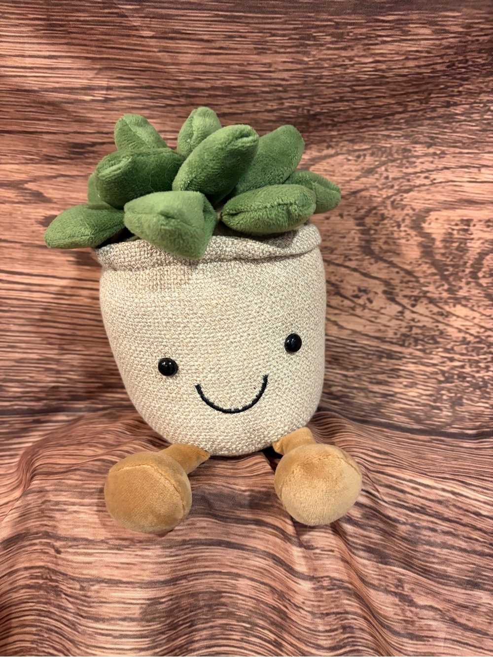 Plush Smiling Succulent Planter - Beige and Green